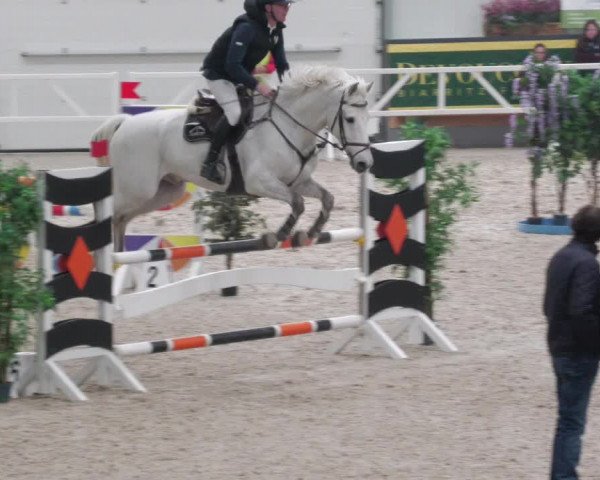 Reitturnier Borken 2022