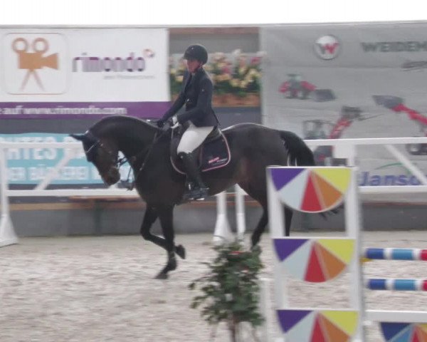 Reitturnier Borken 2022