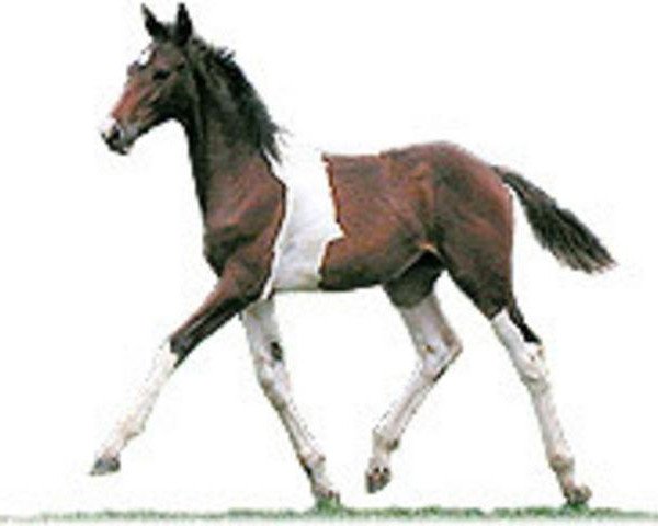 horse He's Famous (American Warmblood, 2000, from Hall of Fame)