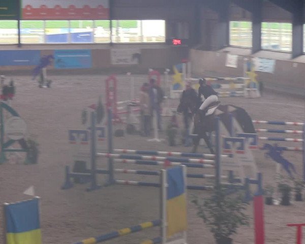 Reitturnier Niebüll 2022
