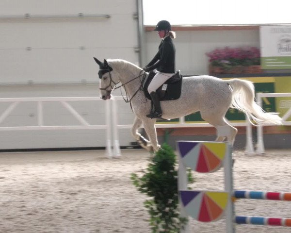 Reitturnier Borken 2022