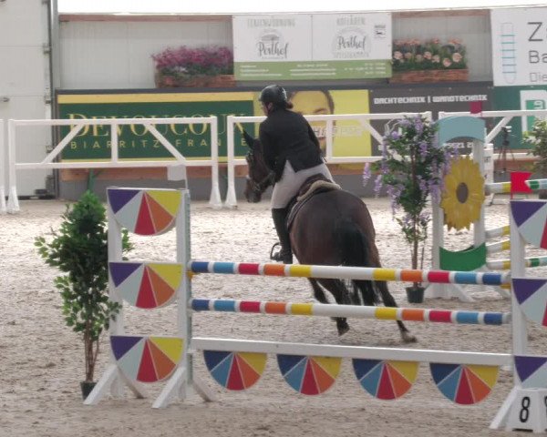 Reitturnier Borken 2022