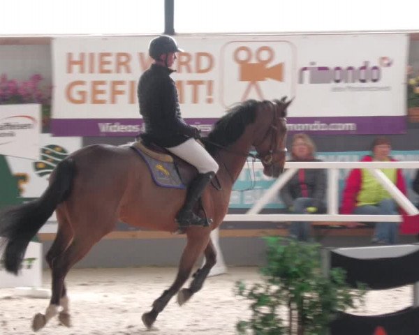 Reitturnier Borken 2022