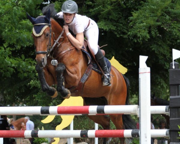 Zuchtstute Okapi BS (Holsteiner, 1999, von Lavaletto)