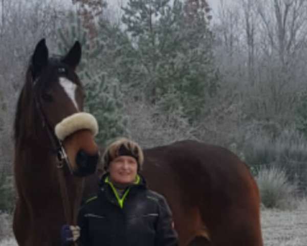broodmare Rainbow Lady xx (Thoroughbred, 2016, from Lawman xx)