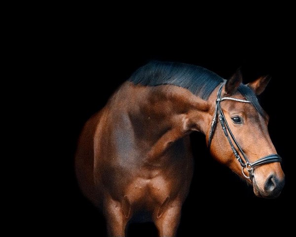 broodmare Fleur 394 (Hanoverian, 2008, from Fidertanz)