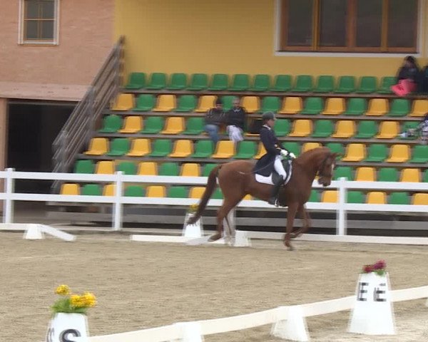Reitturnier K, St. Margarethen-Stückler 2022