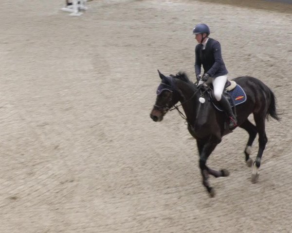 Reitturnier Borken 2022