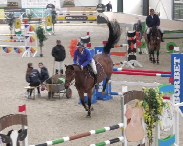 Reitturnier Borken 2022