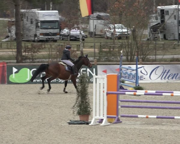 Reitturnier Westergellersen 2022