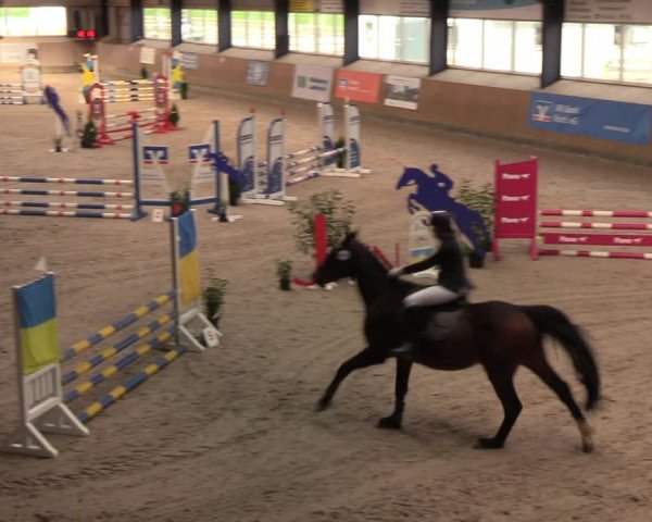 Reitturnier Niebüll 2022
