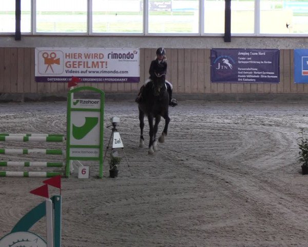 Reitturnier Niebüll 2022