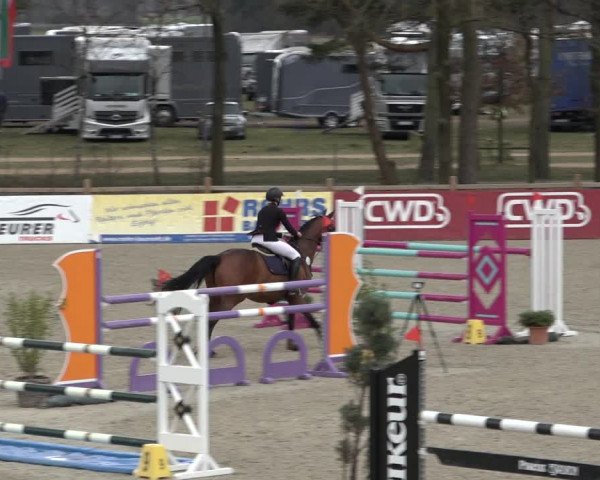 Reitturnier Westergellersen 2022