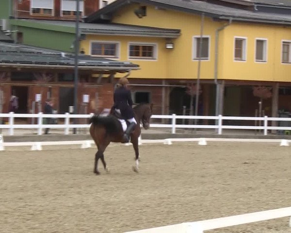 Reitturnier K, St. Margarethen-Stückler 2022