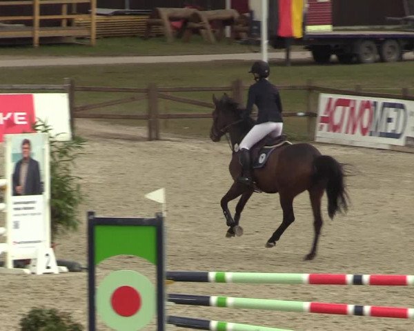 Reitturnier Westergellersen 2022