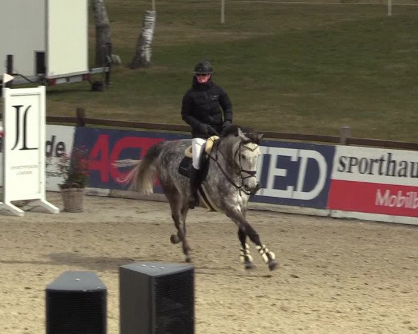 Reitturnier Westergellersen 2022
