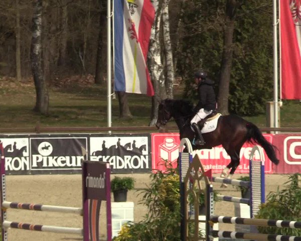 Reitturnier Westergellersen 2022