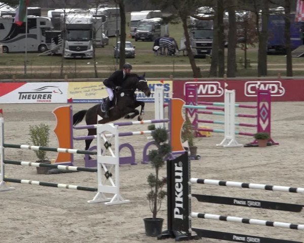 Reitturnier Westergellersen 2022