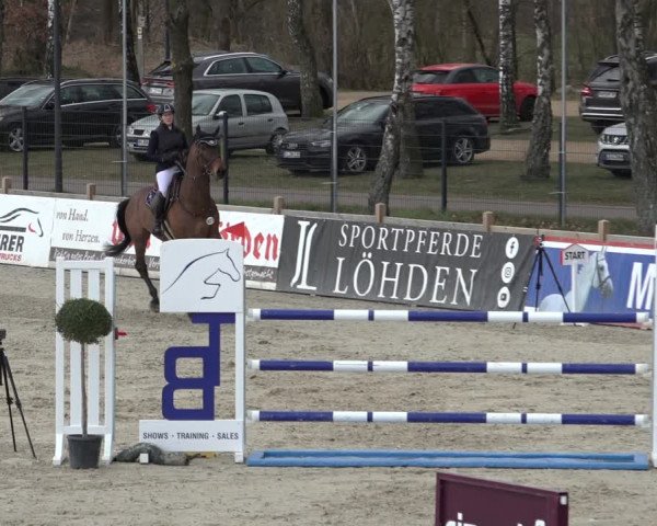 Reitturnier Westergellersen 2022