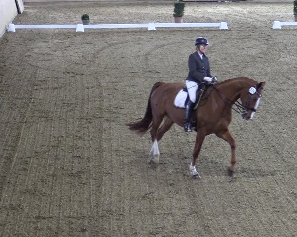 Reitturnier Borgholzhausen-Westbarthausen 2022