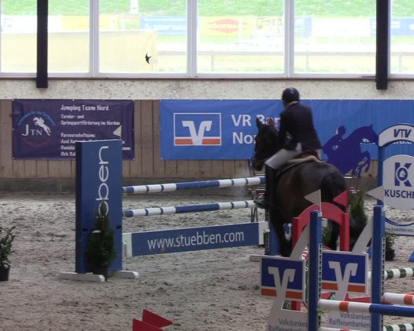 Reitturnier Niebüll 2022