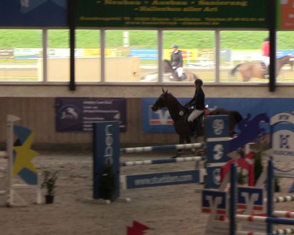 Reitturnier Niebüll 2022