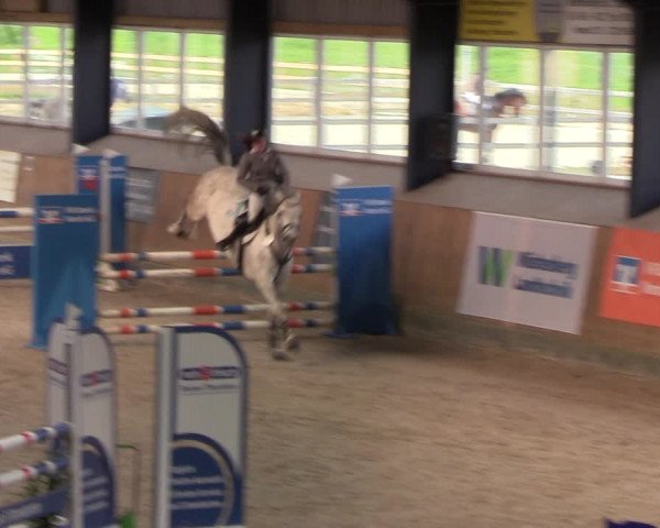 Reitturnier Niebüll 2022