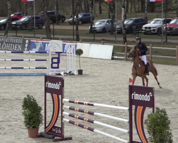 Reitturnier Westergellersen 2022