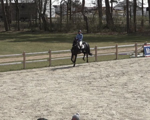 Reitturnier Westergellersen 2022