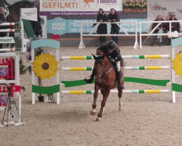 Reitturnier Borken 2022