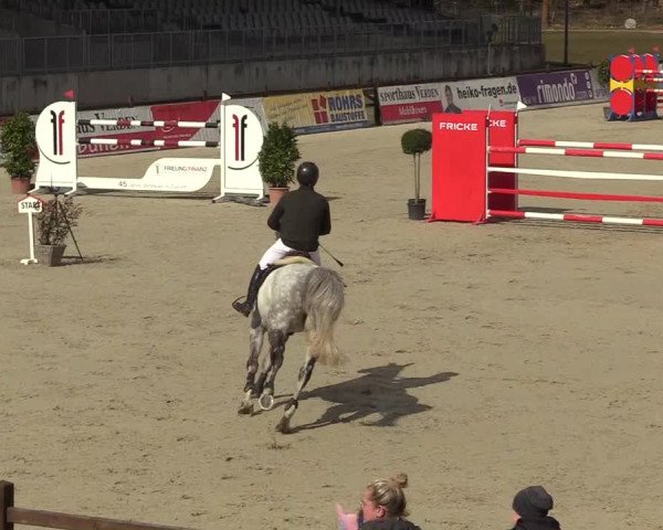 Reitturnier Westergellersen 2022