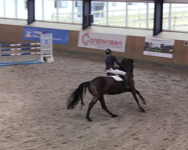 Reitturnier Niebüll 2022