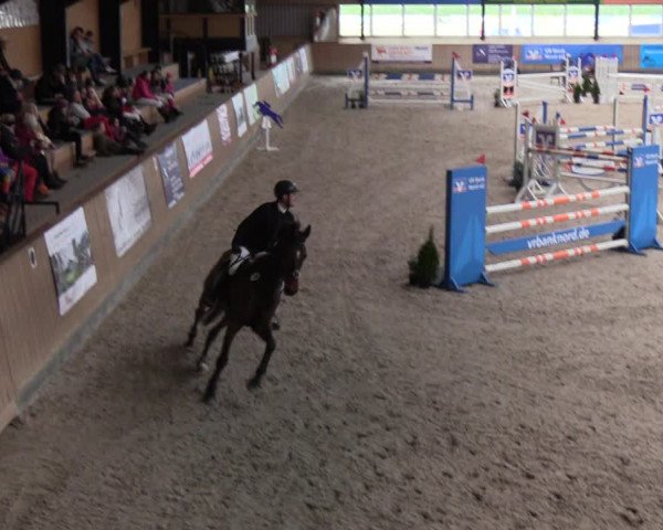 Reitturnier Niebüll 2022
