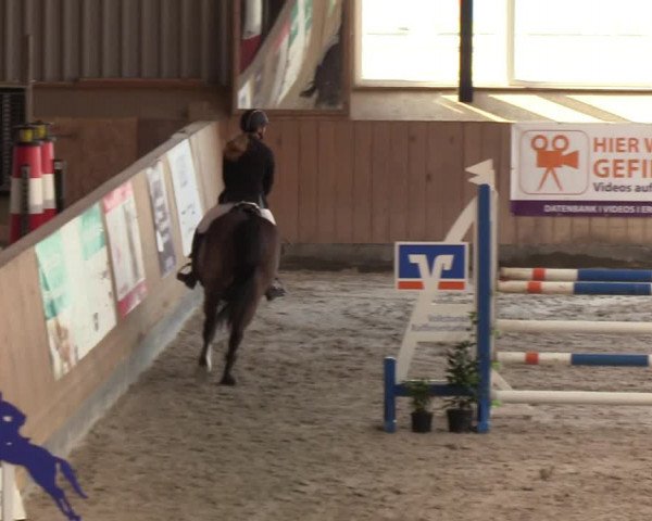 Reitturnier Niebüll 2022