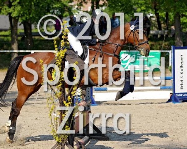 jumper Santoro (Holsteiner, 1992, from Silbersee)