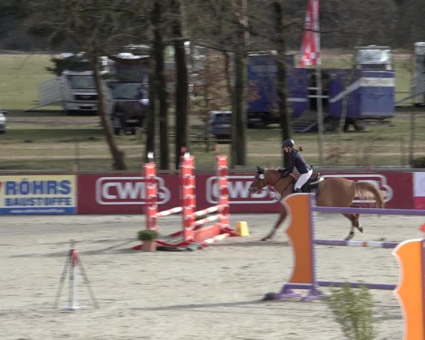Reitturnier Westergellersen 2022