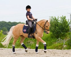dressage horse Pennylotta (unknown, 1996)
