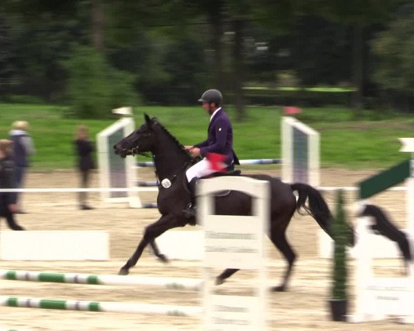 Springturnier Lüdinghausen 2021