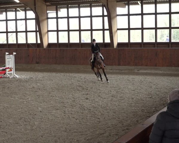 Reitturnier Päse 2022