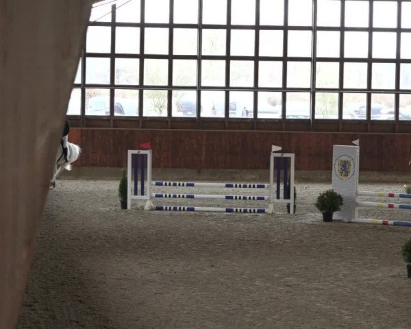 Reitturnier Päse 2022