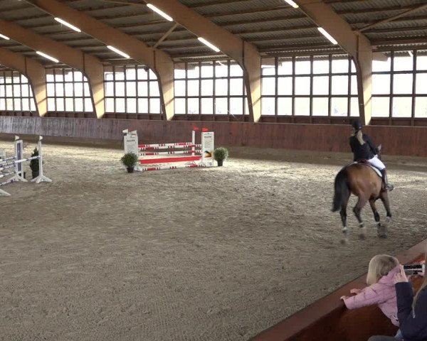 Reitturnier Päse 2022