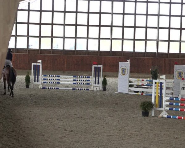 Reitturnier Päse 2022