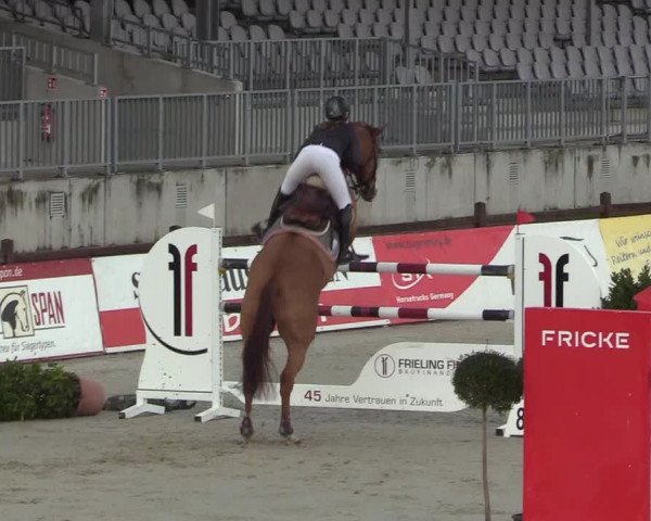Reitturnier Westergellersen 2022