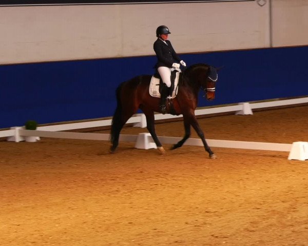 Reitturnier Elmshorn 2022