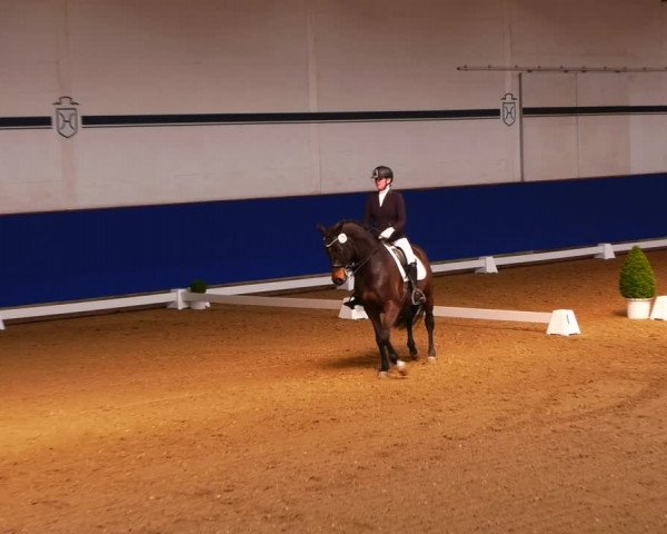 Reitturnier Elmshorn 2022