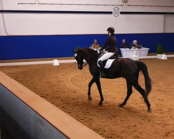 Reitturnier Elmshorn 2022
