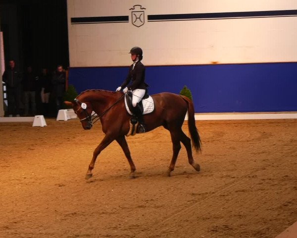 Reitturnier Elmshorn 2022