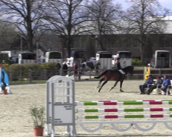 Reitturnier Elmshorn 2022