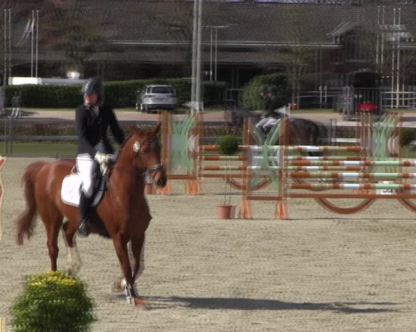 Reitturnier Elmshorn 2022