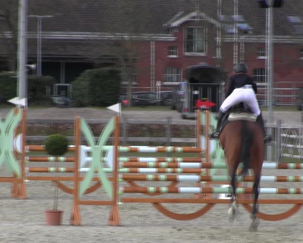 Reitturnier Elmshorn 2022